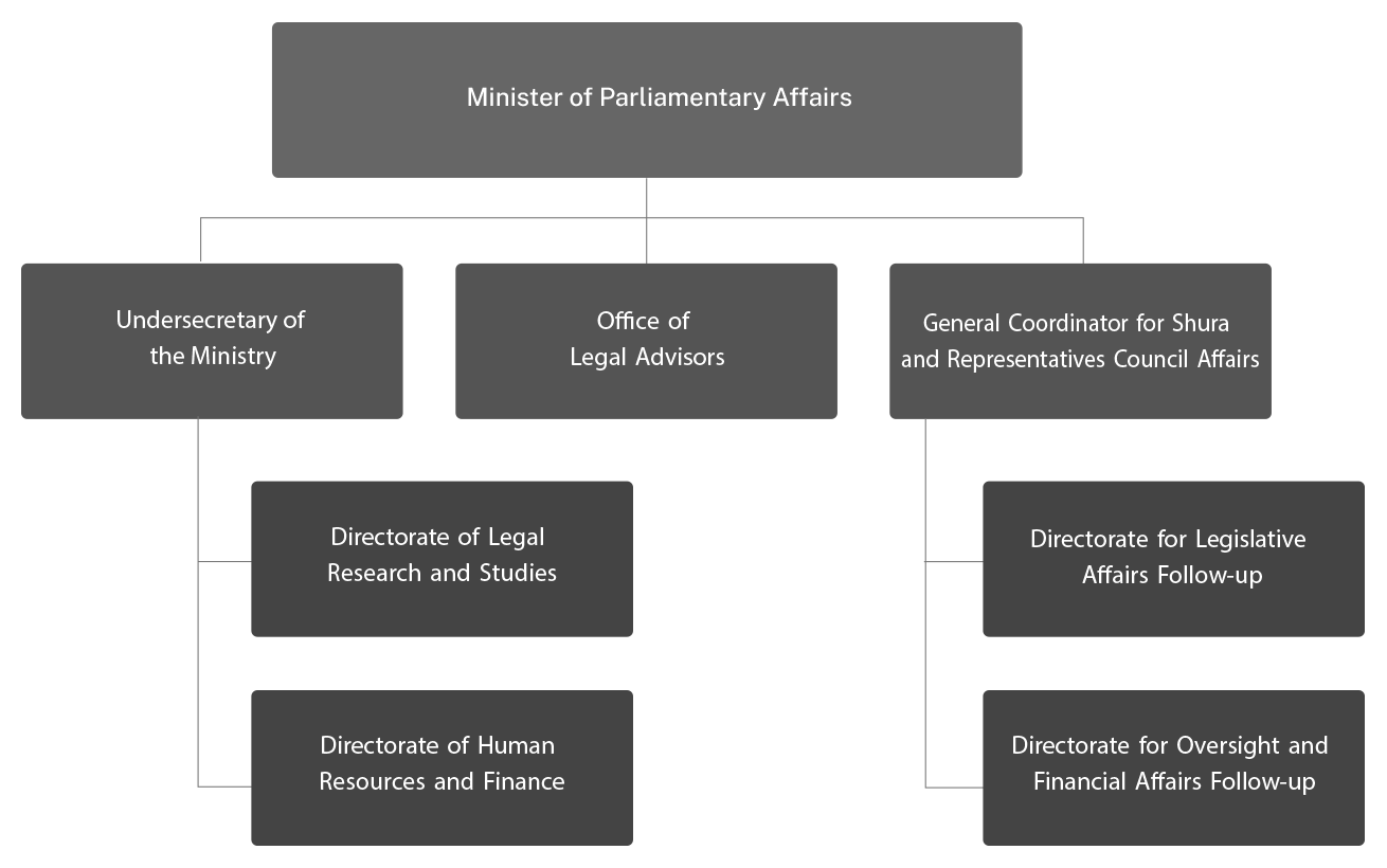 Organizational Chart Dark